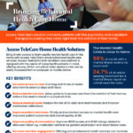 Behavioral Health Care in the Home