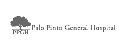 logo-palo-pinto-gray logo-palo-pinto-gray
